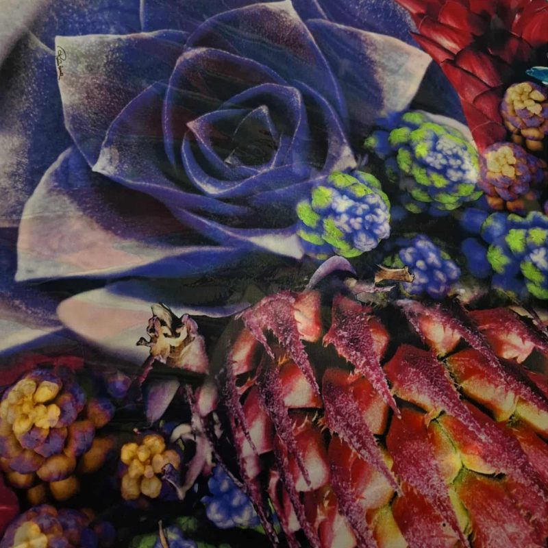 54eeeaf0-5c73-4474-8664-eb375460b4c3