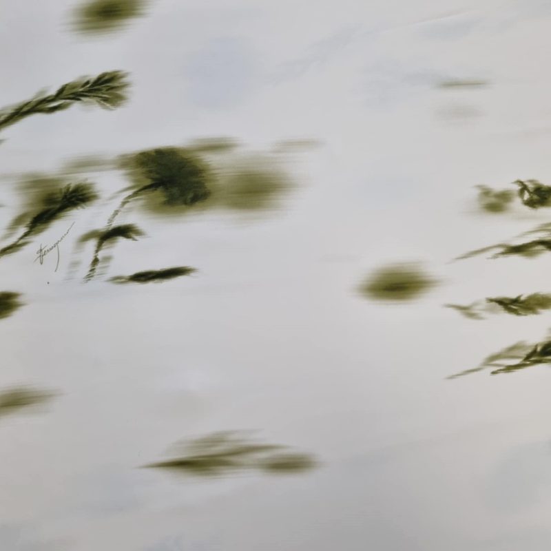 e460f7d3-51c3-4ebb-a6b0-5c6014c9eaed